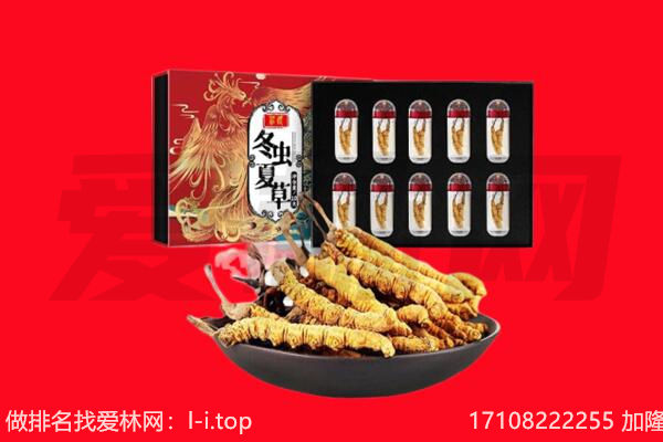 于都县回收虫草.jpg
